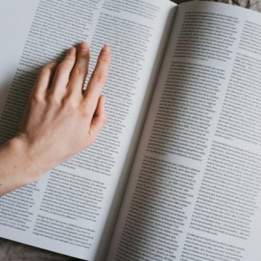 Revisão de Artigos em União dos Palmares - AL
